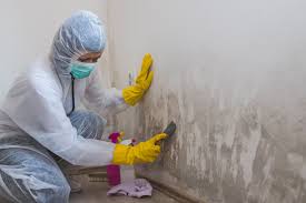 Best Real Estate Mold Inspection  in Bay Point, CA